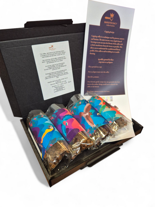 Single Origin Selection Box (4 x 60g)