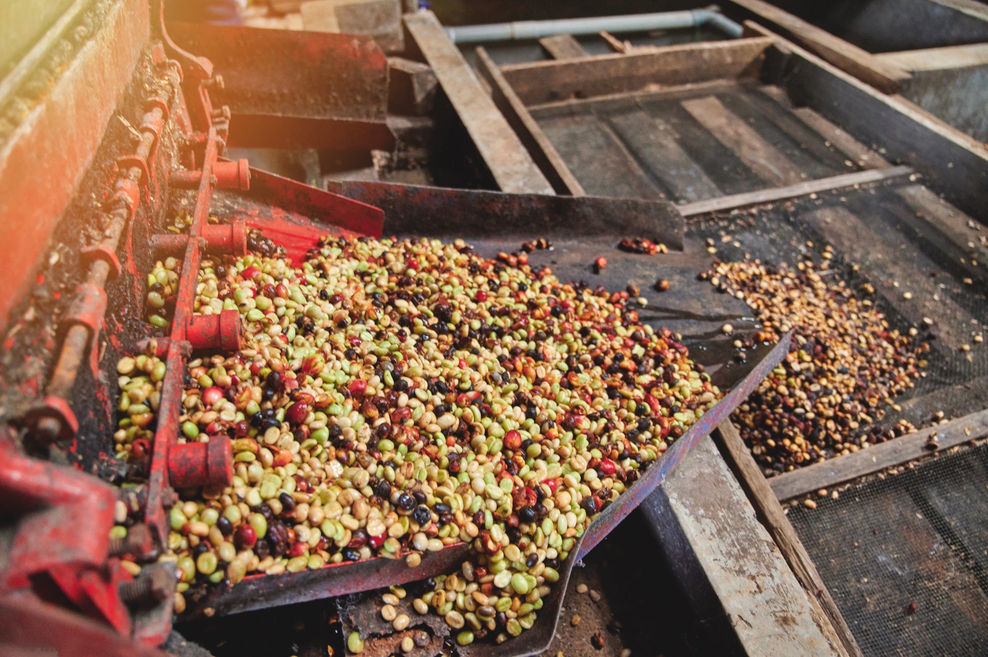 coffee Process